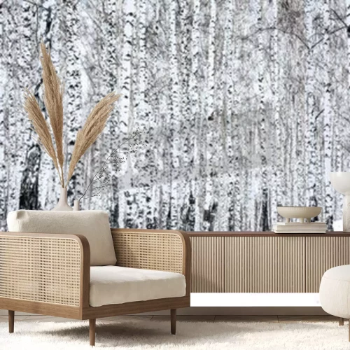 Fotobehang Bos met berken in de winter