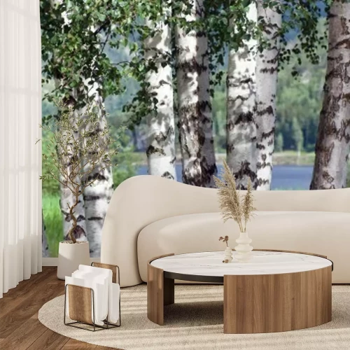 Fotobehang Berken aan het water