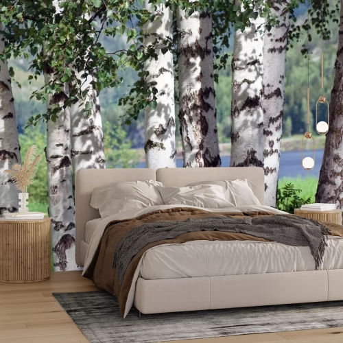 Fotobehang Berken aan het water