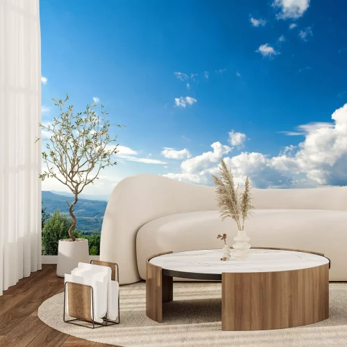 Fotobehang Lucht boven een dennenbos