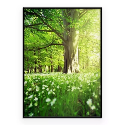 Poster Een loofbos in de lente, vol frisgroen.