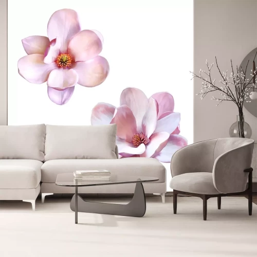 Sticker Twee bloeiende magnolia's