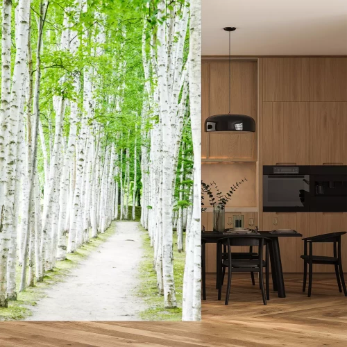 Fotobehang Pad met berken