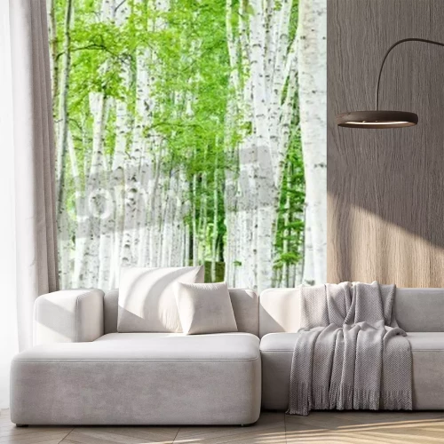 Fotobehang Pad met berken