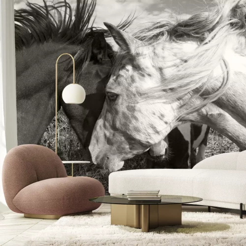 Fotobehang Paarden die elkaar liefde tonen