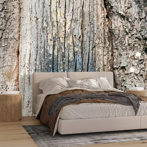 Fotobehang Boomschors textuur