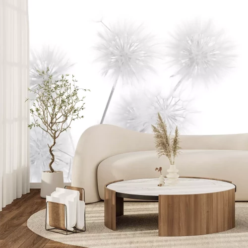 Fotobehang Paardebloemen in een minimalistische compositie