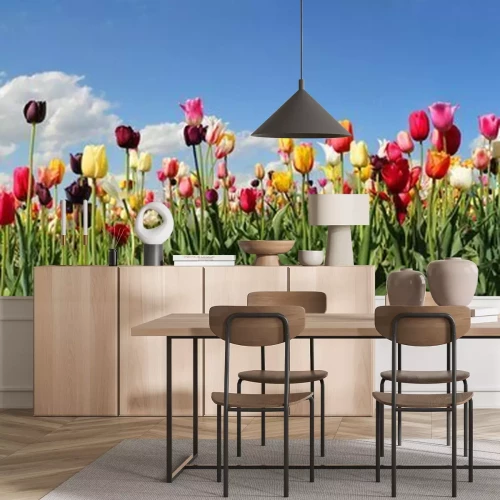 Fotobehang Tulpen in verschillende kleuren