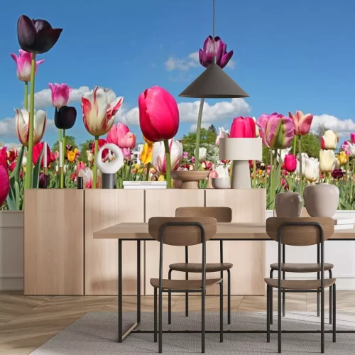 Sticker Tulpen en blauwe lucht