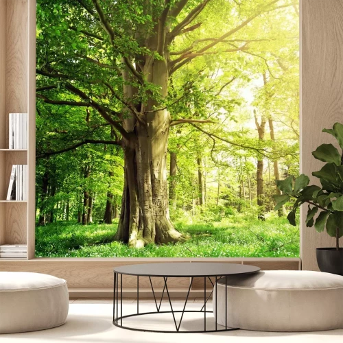 Fotobehang Oude boom en groen