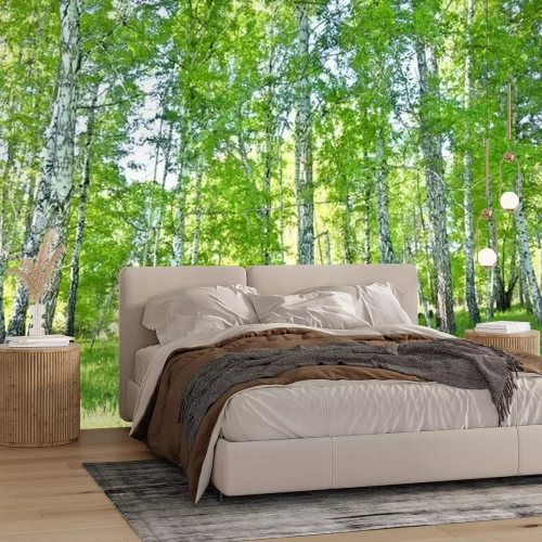 Fotobehang Berkenbos in de lente