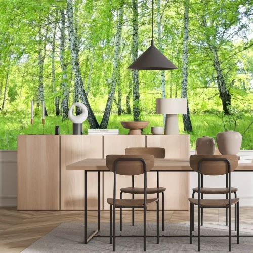 Fotobehang Berkenbos