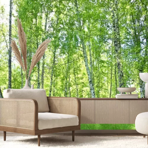 Fotobehang Berkenbos
