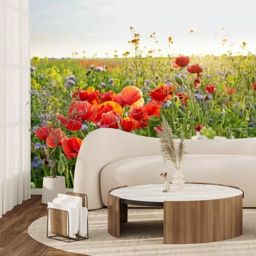 Fotobehang Klaprozen en korenbloemen op een open plek