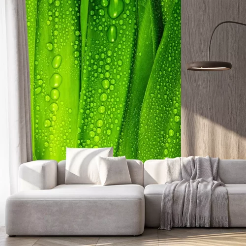 Sticker Dauwdruppels op groen gras