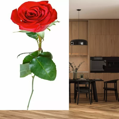 Sticker Roos in rode kleur