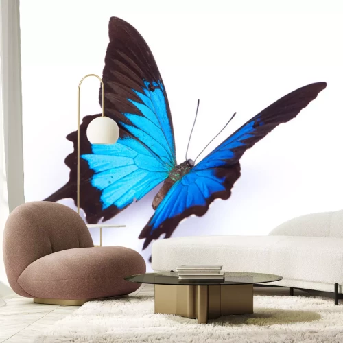 Sticker Weergave van een blauwe vlinder