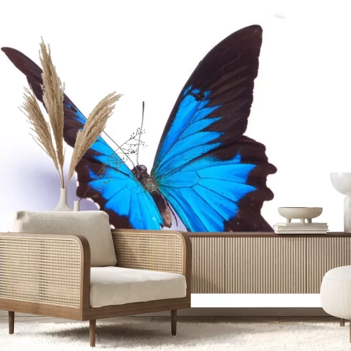 Sticker 3D vlinder op witte achtergrond