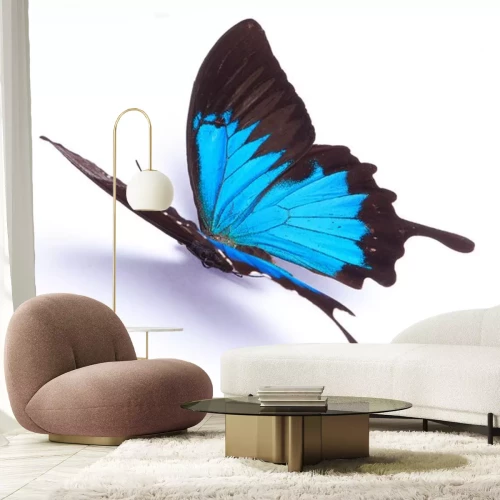 Sticker Opvallende vlinder op een lichte achtergrond