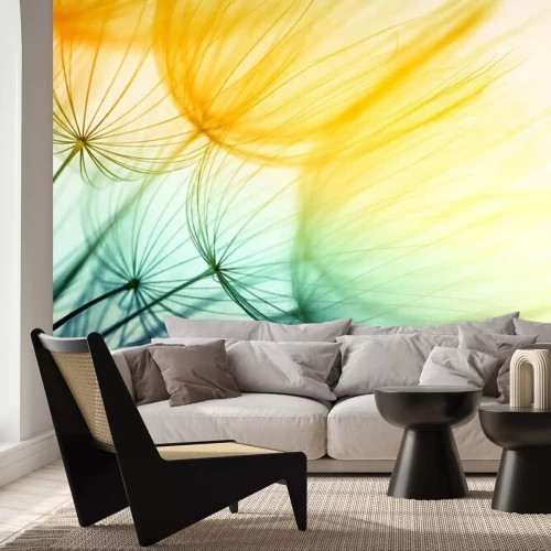 Fotobehang Paardebloem