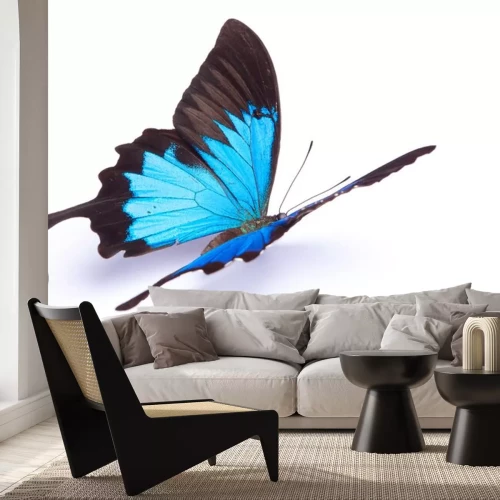 Sticker Vlinder zittend op een witte achtergrond