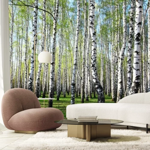 Fotobehang Groen en berken