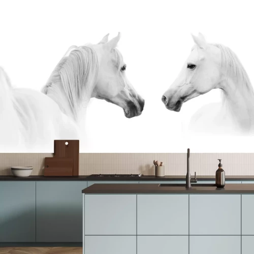 Fotobehang Arabisch paard op witte achtergrond