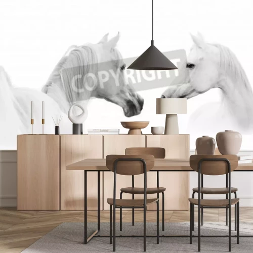 Fotobehang Arabisch paard op witte achtergrond