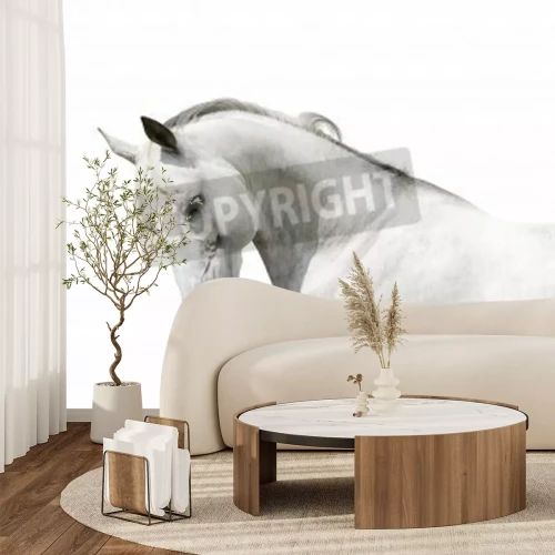 Fotobehang Wit paard op een lichte achtergrond