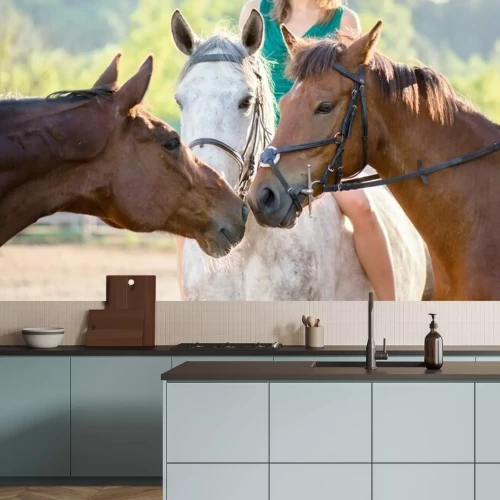 Fotobehang Veelkleurige paarden in een paddock