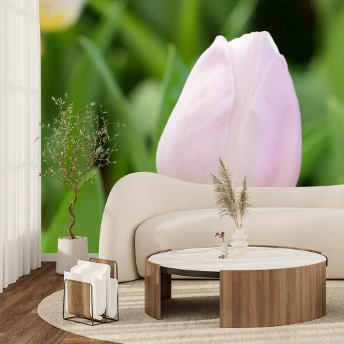 Sticker Roze tulp en groen