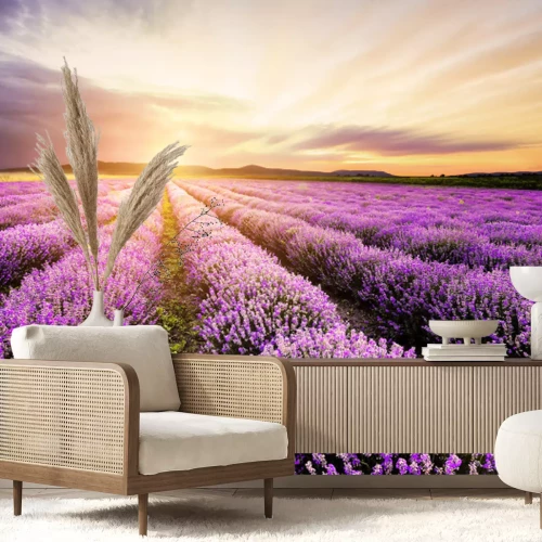 Fotobehang Lavendelvelden en zonsondergang