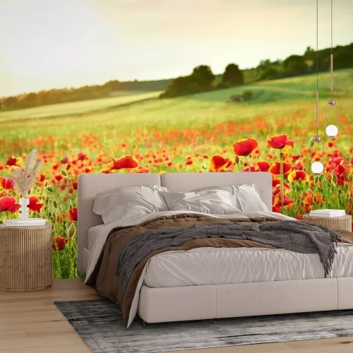 Fotobehang Klaprozen en landschap in de zon