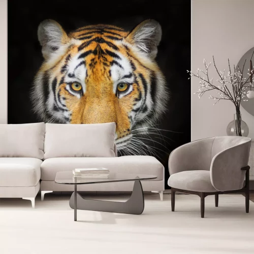 Fotobehang Portret van het dier op zwarte achtergrond