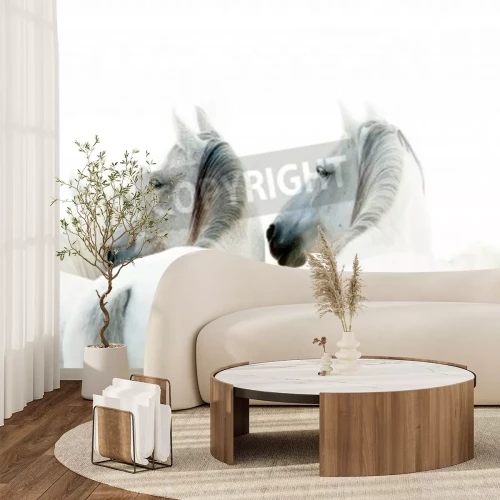 Fotobehang Drie witte paarden op lichte achtergrond