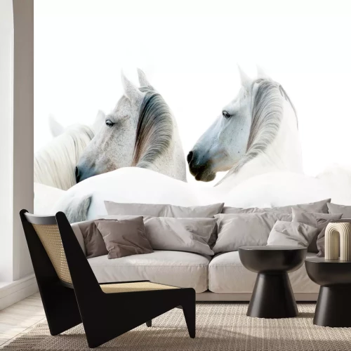 Fotobehang Drie witte paarden op lichte achtergrond