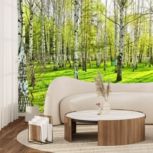 Fotobehang Berken en schaduwen