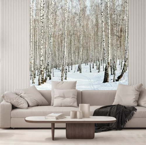 Fotobehang Kleine berken in de winter