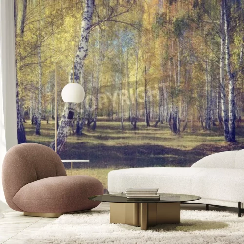 Fotobehang Retro berkenbos