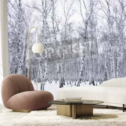 Fotobehang Winterberkenbosje