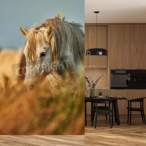 Fotobehang Portret van een paard in een weide