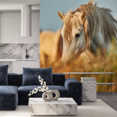 Fotobehang Portret van een paard in een weide