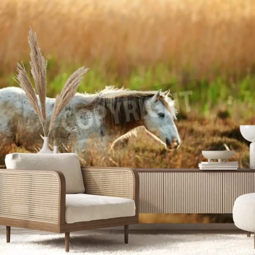 Fotobehang Paard door een weide