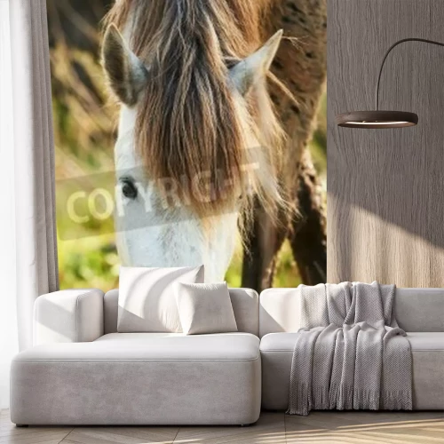Fotobehang Wit-bruin Camargue paard
