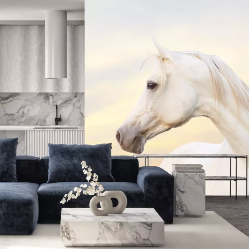 Fotobehang Wit Arabisch volbloed paard