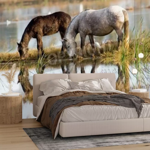 Fotobehang Paarden weerspiegelen in het oppervlak van het meer