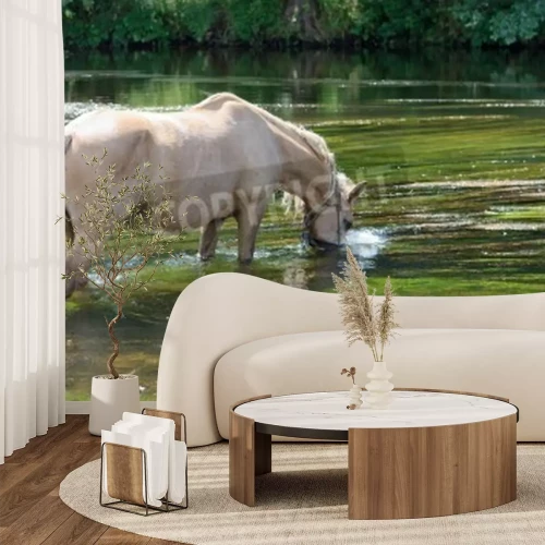 Fotobehang Paard drinkt water uit een meer