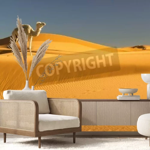 Fotobehang Kameel in de woestijn