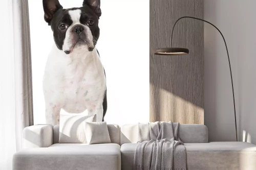 Visualisatie van het product