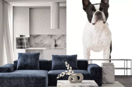 Visualisatie van het product